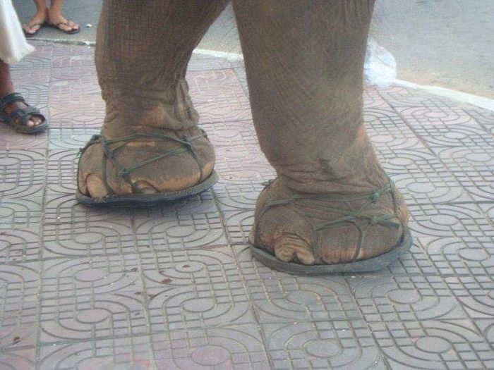 Show Off Your Shoes!