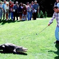 Calling All Animals!!!-Need Help!