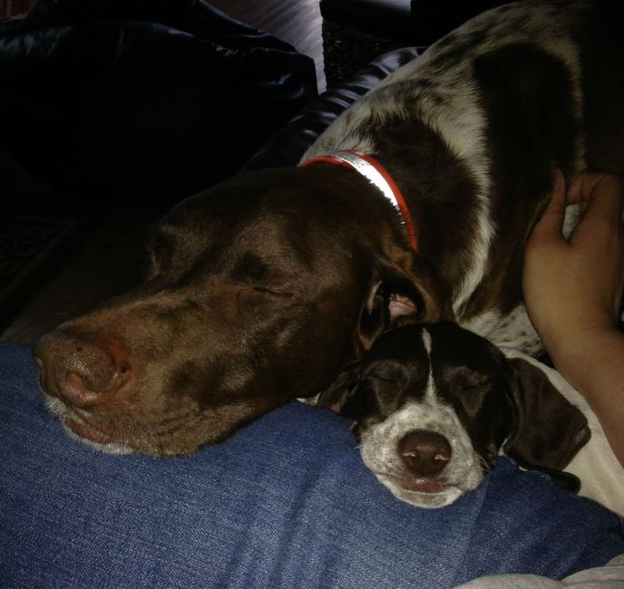 NWR: Happy Furry Fursday, let's see them fur babies!