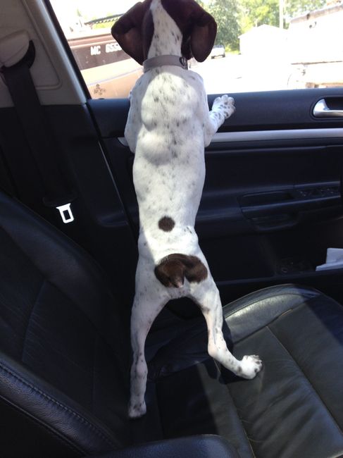 NWR: Happy Furry Fursday, let's see them fur babies!