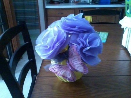 so many random questions!!