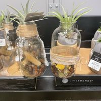 Centerpiece Inspo Please! - 1