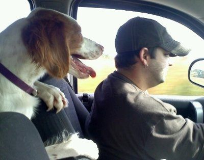 Totally NWR: My poor dog