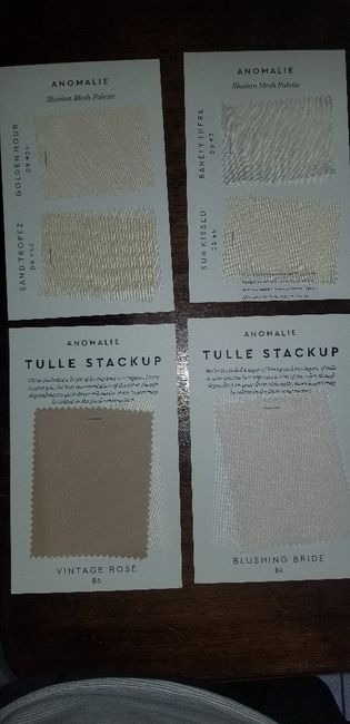 Anomalie Experience- Part 5 6