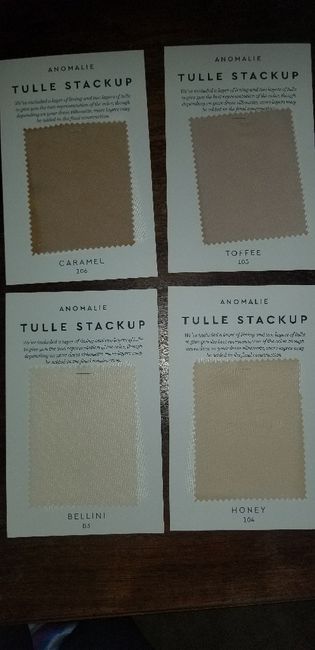 Anomalie Experience- Part 5 8