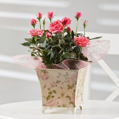 Centerpieces