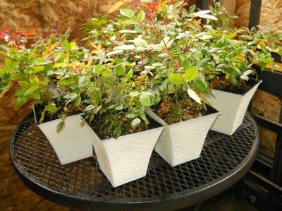 Your DIY Projects