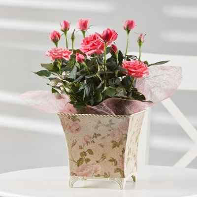 Centerpieces