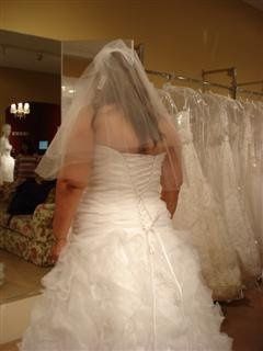 My dress is in!