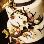 Fall Wedding...Got Any Ideas???