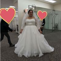 Any size 12/14 brides care to share?