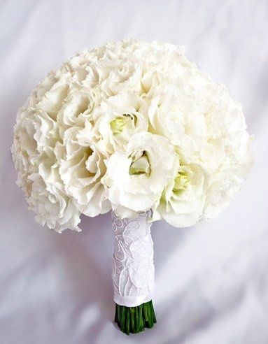 Any Winter Flower Ideas for my bouquet? I'm not in LOVE *pics*