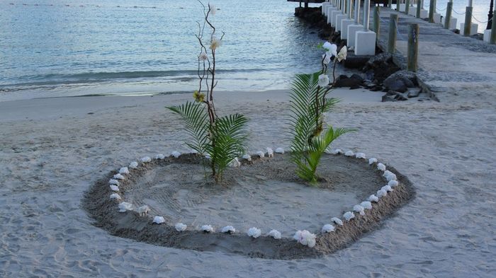 Back from St. Lucia-- and MARRIED!!! (pic heavy)