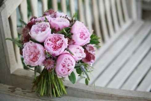 Any Winter Flower Ideas for my bouquet? I'm not in LOVE *pics*