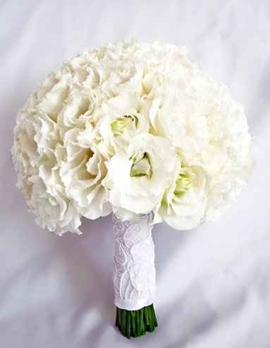 Any Winter Flower Ideas for my bouquet? I'm not in LOVE *pics*