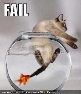 Are you effin kidding me?!?