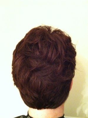 Hair trial (pics) EDITED [REAL PICS ARE AT THE BOTTOM OF PAGE 1]