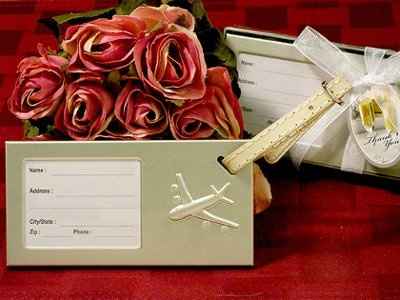 Airplane Themed Wedding