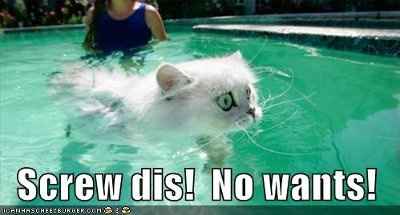ATTN: WW IT DEPT...WE DON'T LIKE IT!!!!!! PLEASE REVERT TO OLD WAYS
