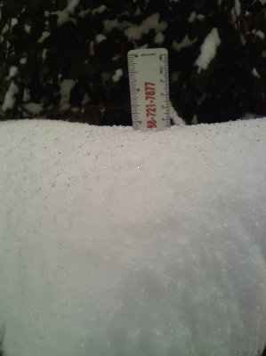 NWR - Snow blankets the Southeast