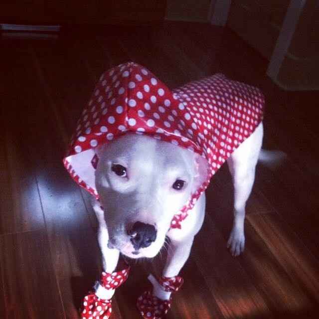 NWR: post pics of your pets!!
