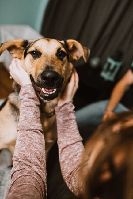 Engagement Pic Dump - 34