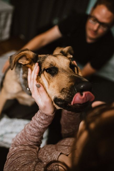 Engagement Pic Dump - 35