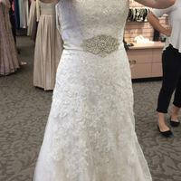 Please help me pick a sash!