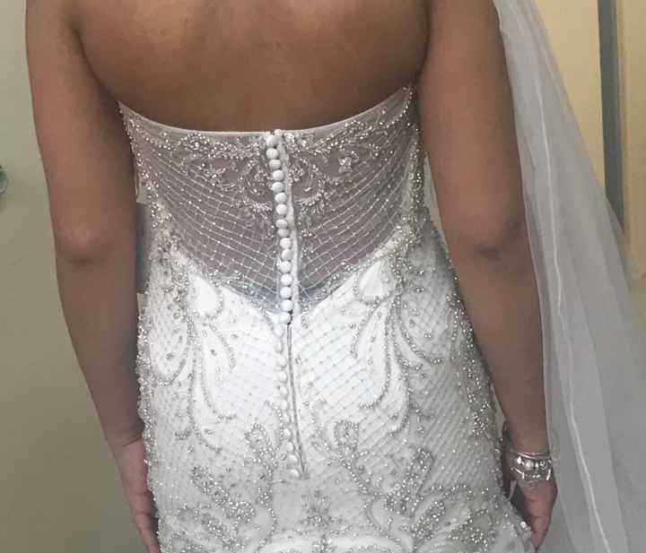 Veil or Tiara - 1