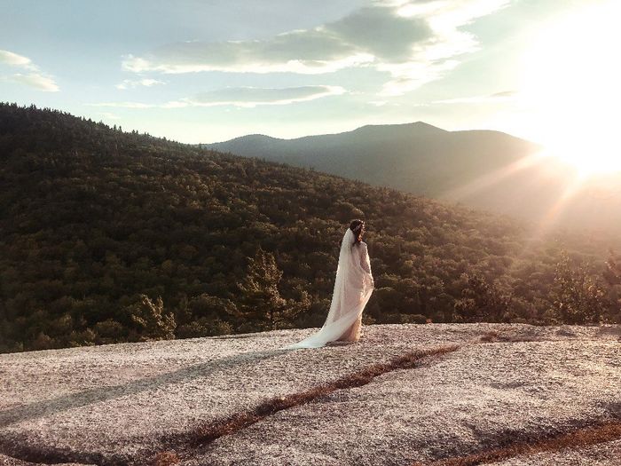 Show me your Veil/ Headpiece! - 2