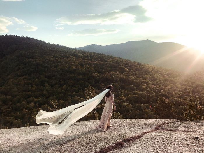 Show me your Veil/ Headpiece! 7