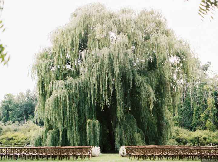 Let's see where you're getting married! Show off your wedding venue!! - 2