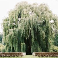 Let's see where you're getting married! Show off your wedding venue!! - 2