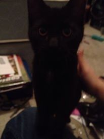 NWR: Fur Baby! :)
