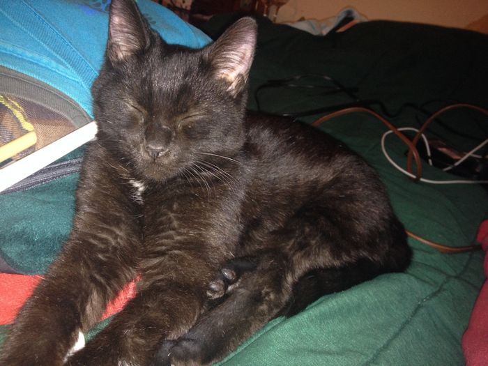 NWR: Fur Baby! :)