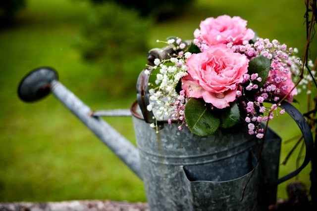 Ladies, What are your favorite flowers?