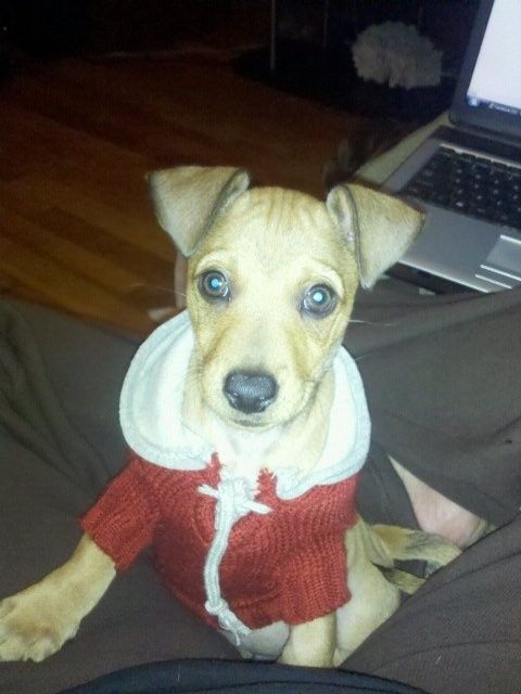 NWR: Happy Furry Fursday, let's see them fur babies!