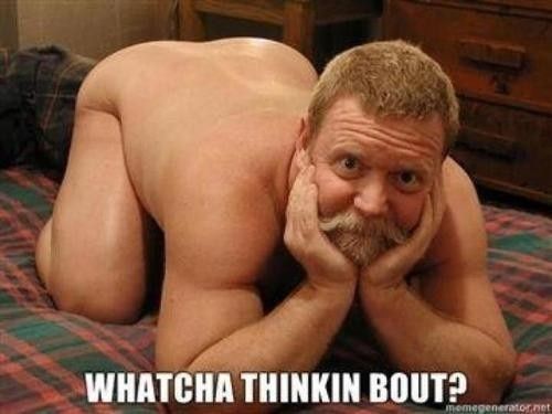 WW: Please welcome, Tickled Tuesday!