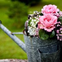 Ladies, What are your favorite flowers?