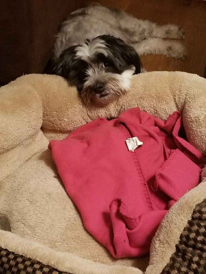 NWR snuggly Sundays!