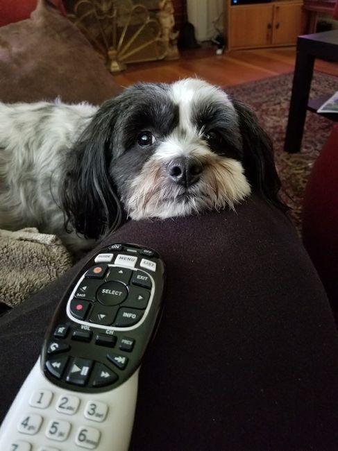 Furbabies?(non wedding post)