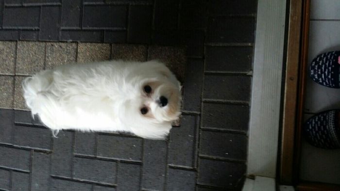 I LOVE my fur baby!