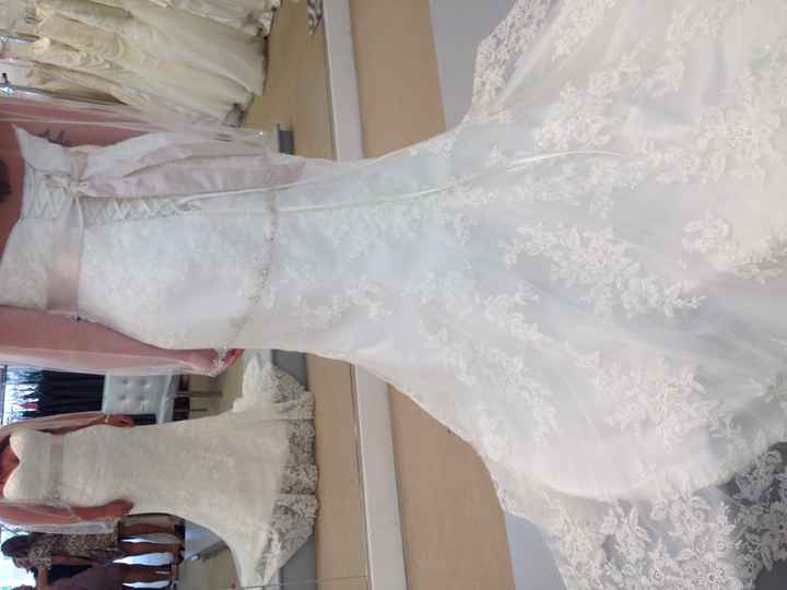 I found my dress! Pics included!