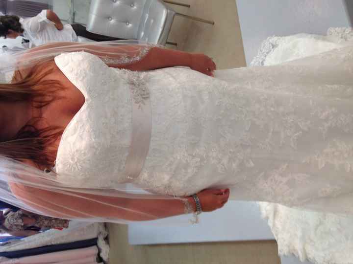 I found my dress! Pics included!