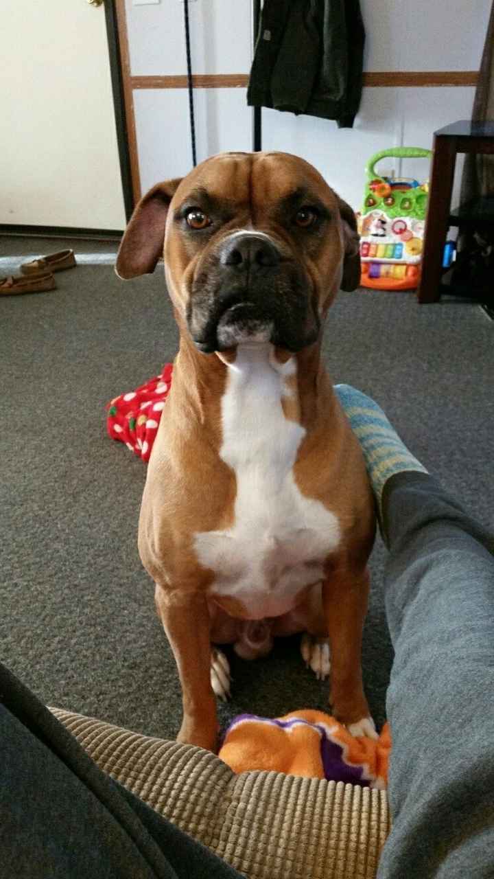 Show off your fur babies!