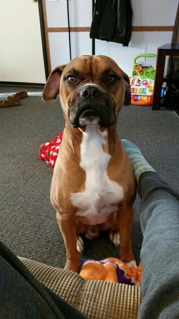 Show off your fur babies!