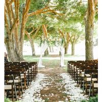 Aisle runner alternative? - 1