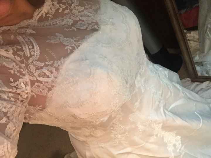 Wedding Dress Topper?  - 1