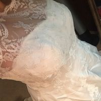 Wedding Dress Topper?  - 1