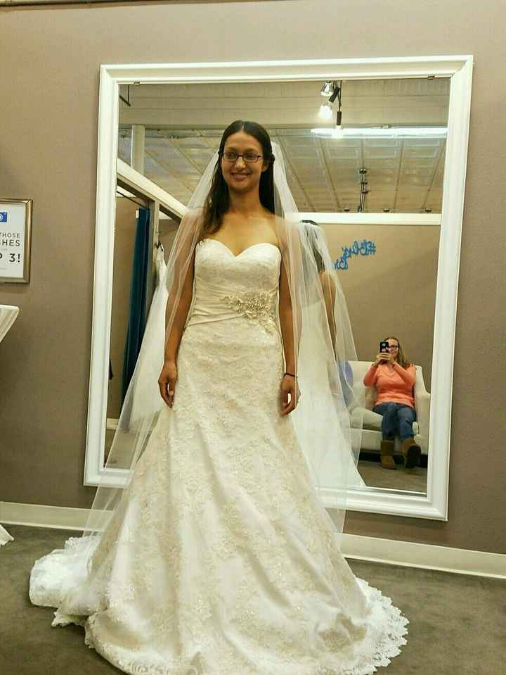 Which dress?